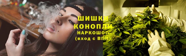 прущие грибы Майский
