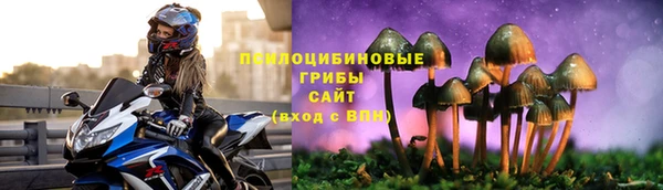 СК Белокуриха