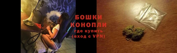 хмурый Магас