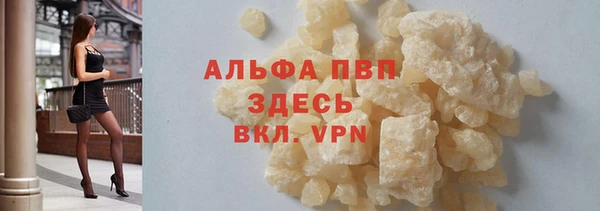 прущие грибы Майский